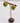 Olive Earrings