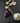Purpurina Necklace