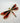 Dragonfly Brooch